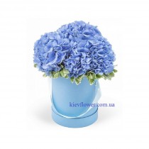 Box with hydrangea